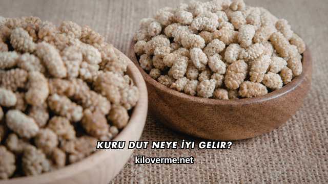 Kuru Dut Neye İyi Gelir?