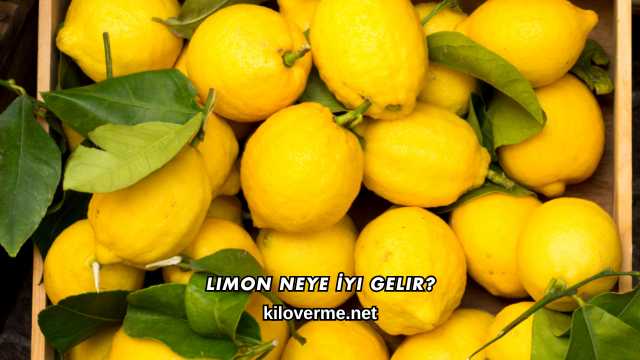Limon Neye İyi Gelir?