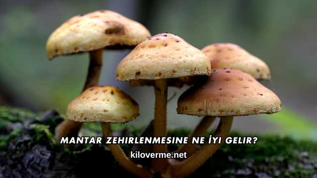 Mantar Zehirlenmesine Ne İyi Gelir?