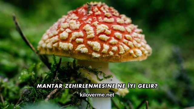 Mantar Zehirlenmesine Ne İyi Gelir?