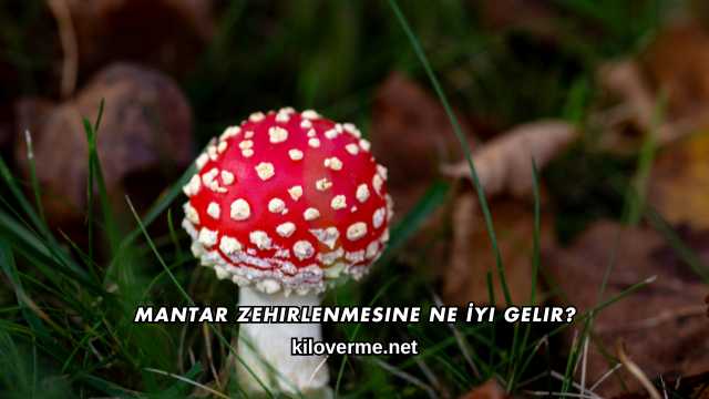 Mantar Zehirlenmesine Ne İyi Gelir?