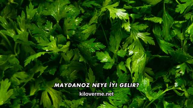 Maydanoz Neye İyi Gelir?