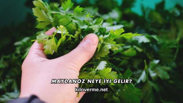 Maydanoz Neye İyi Gelir?