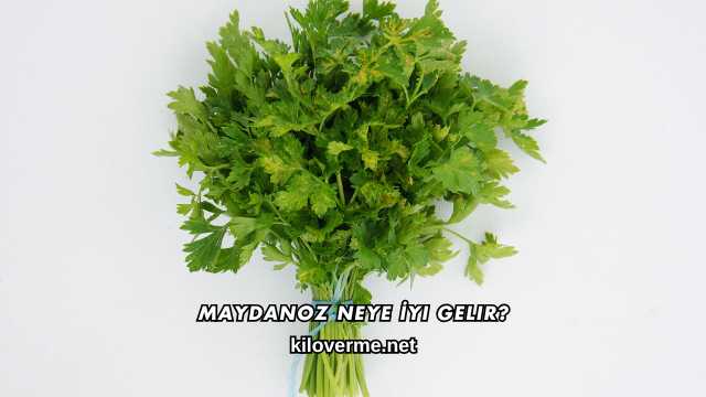 Maydanoz Neye İyi Gelir?