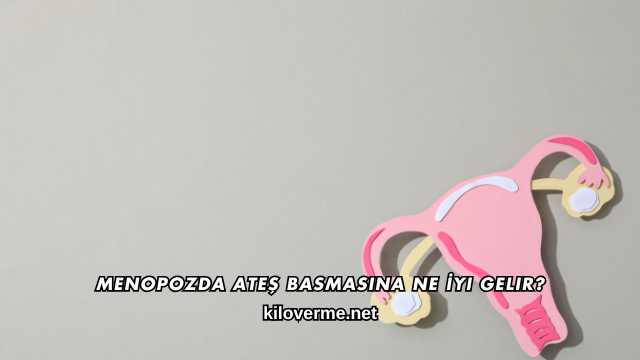 Menopozda Ateş Basmasına Ne İyi Gelir?