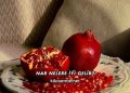 Nar Nelere İyi Gelir?