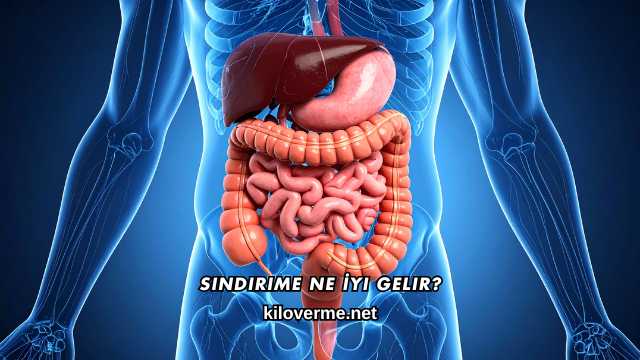 Sindirime Ne İyi Gelir?